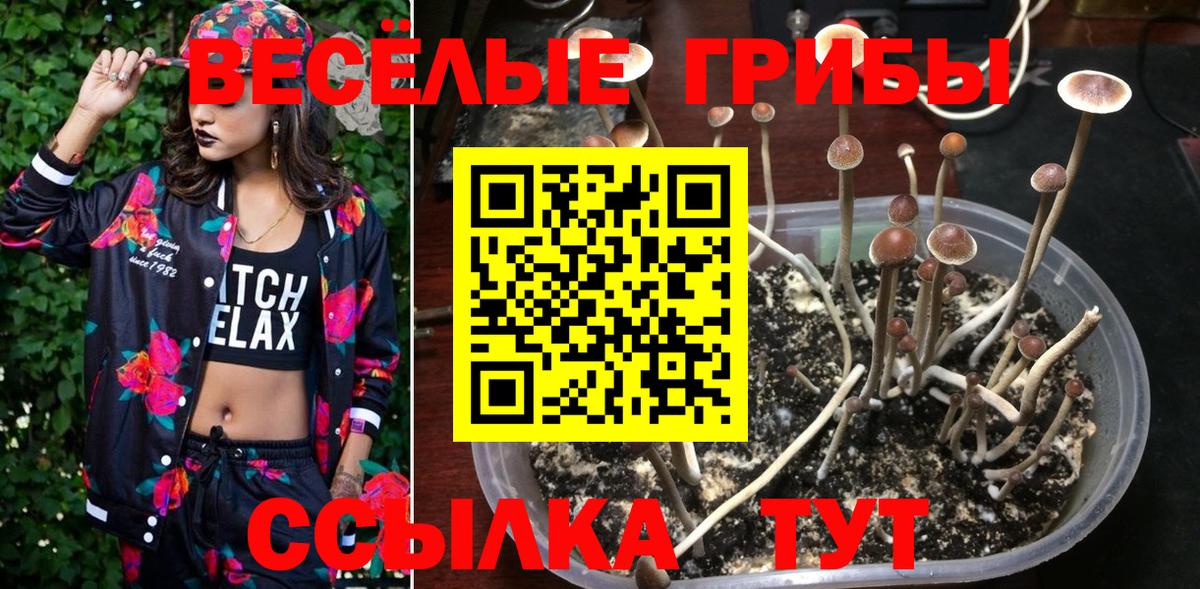 Галлюциногенные грибы мицелий  Вход с VPN  сколько стоит  Волгодонск 